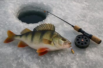 Небольшой улов на льду рядом с лункой и коробкой с мормышками